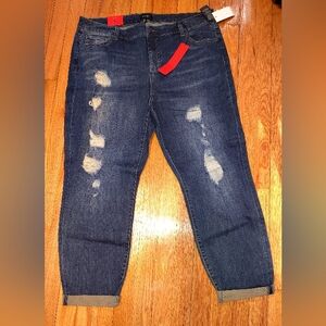 Celebrity Pink Indigo Denim Pants